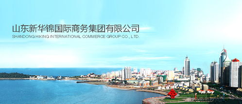 新华锦进出口代理 一站式外贸服务助力企业全球发展